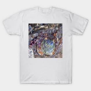 Best fishing gifts for fish lovers 2022. Crab camouflaged against rocks on the beach T-Shirt